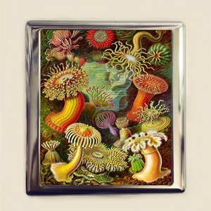 Ernst Haeckel Sea Anemone Cigarette Case Business Card ID Holder Victorian Sea Creatures Marine Life Biology