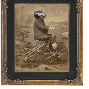 Sloth Bike Art Print 8 x 10 - Victorian Anthropomorphic Altered Art - Sloth Riding Bike - Bicycle - Collage