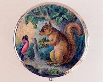 Squirrel Pill Box Case Pillbox Holder Trinket Box Animal Art Woodland Creatures