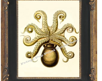 Victorian Octopus Art Print 8 x 10 - Nautical Oceanography Biology Version Four