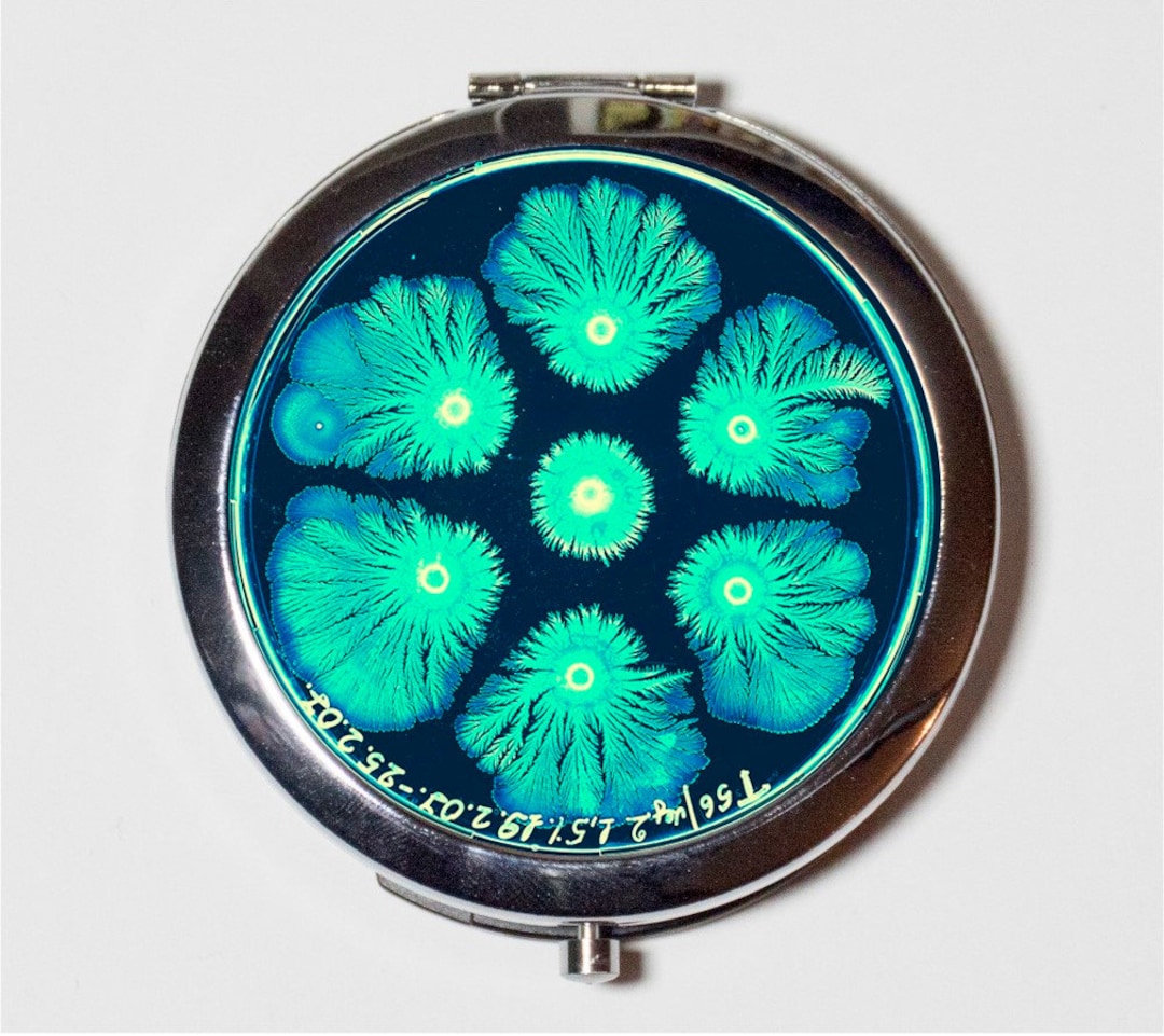 Colony of Bacteria Microscope Slide Compact Mirror -science Scientific ...