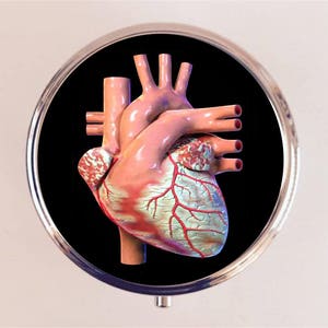 Anatomical Heart Pill Box Case Pillbox Holder Trinket Anatomy Medical Oddity