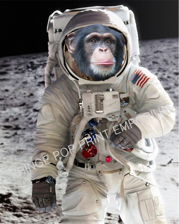 Un Mono Astronauta on X: ¡Qué bonito se ve Venezuela desde la EEI!  #PartidoDeVuelta / X