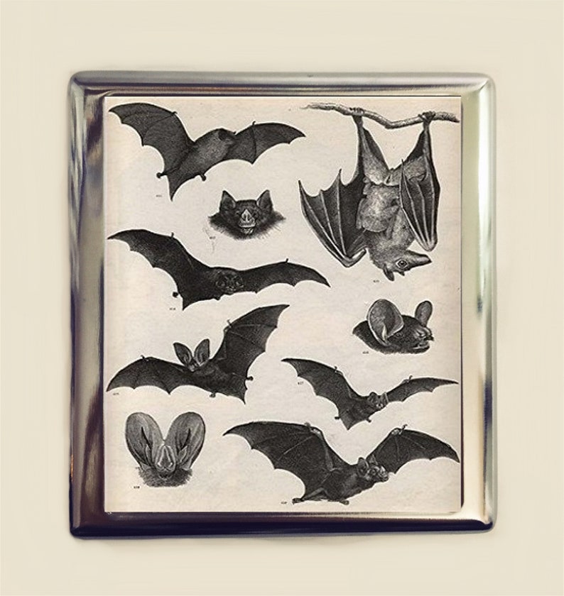 Victorian Bat Cigarette Case Business Card ID Holder Wallet Bats Goth Gothic Dark Art Vampire image 1