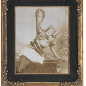 Victorian Sideshow Circus Freak Art Print 8 x 10 Snake Charmer image 1