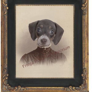 Victorian Dachshund Art Print 8 x 10 - Altered Art Weiner Dog in Victorian Dress - Steampunk