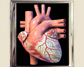 Anatomical Heart Cigarette Case Business Card ID Holder Wallet Human Anatomy Medical