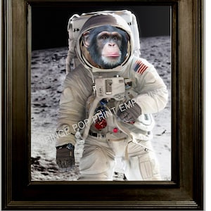 Space Monkey Art Print 8 x 10 - Chimp on the Moon - Chimpanzee Astronaut - Altered Art Collage - Pop Art - Anthropomorphic