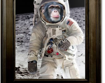 当時物　秀吉 Any monkey can come into power Space Monkey Art Print 8 X 10 - Chimp on the Moon