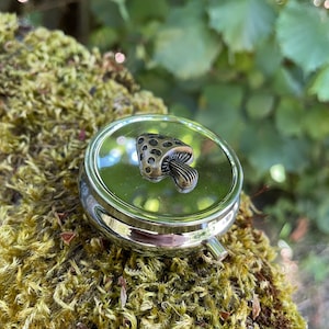 Whimsical Mushroom Pill or Stash Box Case Holds Trinkets and More Compact Size Amanita