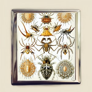Ernst Haeckel Spider Cigarette Case Business Card ID Holder Victorian Spiders Arachnids