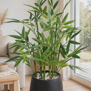 May include: A tall artificial bamboo plant with vibrant green leaves and segmented green stalks. The plant is potted in a matte black, tapered cylindrical container filled with small white and grey decorative stones at the base of the stems.