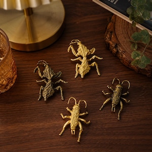 Tiradores de latón únicos con forma de insectos para armarios, tiradores de cajones con forma de mantis religiosa y grillo, herrajes decorativos para muebles con forma de insectos, tiradores con forma de naturaleza en oro antiguo.