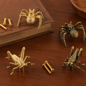 May include: A collection of four metal cabinet knobs shaped like insects, including two spiders and two grasshoppers, finished in gold and bronze tones. The set includes several small gold-colored mounting screws for installation.