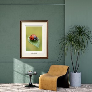Ladybug Digital Print, Ladybird Nature Wall Art, Elegant Minimalist Decor, High Resolution 300 DPI Printable, Vertical JPG