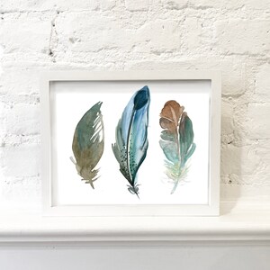 Beautiful Feathers 2