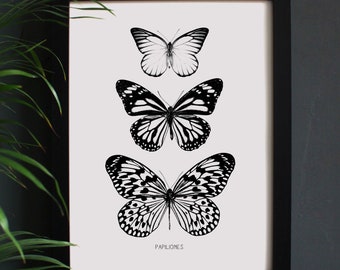 Encyclopaedia Inspired Fine Art Print, Butterfly. Blutterflies Picture. Black and White Illustration. Engraving. Monochrome. Wall Decor.