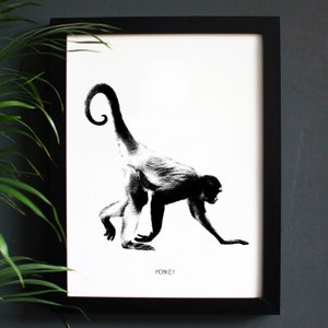 May include: Black and white illustration of a monkey with its tail curled above its head. The monkey is walking on all fours and the image is titled "MONKEY".