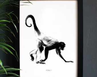 Encyclopaedia Inspired Fine Art Print, Monkey Picture. Spider Monkey. Black and White Illustration, Monochrome, Engraving, Wall Decor.