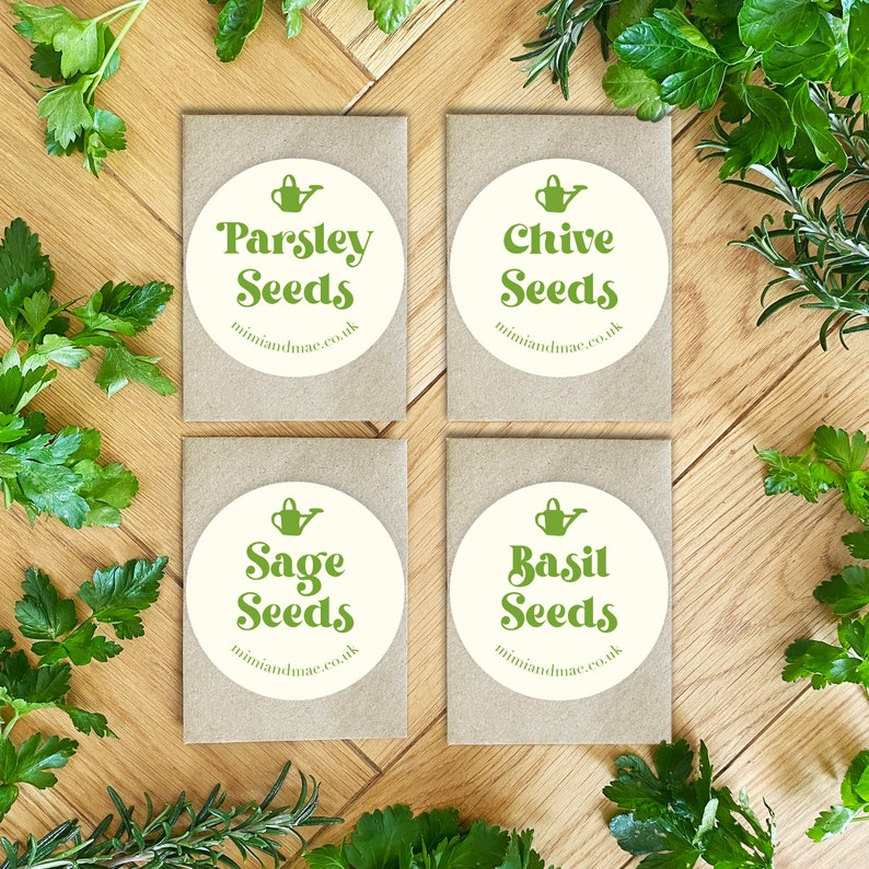 Herby Birthday Garden Herb Card, Seed Card, Eco Friendly. Birthday Card with Seeds Basil, Chives, Parsley, Sage. Birthday Card for Gardener. image 2