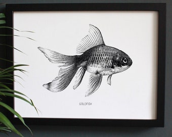 Encyclopaedia Inspired Fine Art Print, Goldfish. Fish Picture. Black and White Illustration. Engraving. Monochrome. Kitchen Wall Decor.