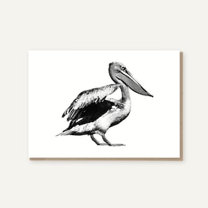 May include: Black and white illustration of a pelican with its beak open. The pelican is standing on one leg and its wings are spread out.
