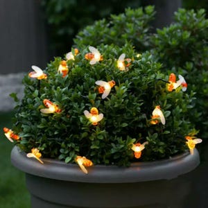Op de afbeelding: Een lichtsnoer met decoratieve bijvormige ledlampjes met doorschijnende vleugels en gloeiende amberkleurige lichamen, gewikkeld rond een dichte groene struik in een grijze plantenbak. De kleine bijenfiguurtjes verspreiden een warm licht.