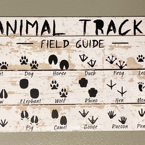 May include: A white wooden sign with black text and images of animal tracks. The sign reads "ANIMAL TRACKS - FIELD GUIDE" and includes images of tracks from animals such as a cat, dog, horse, duck, frog, leopard, cow, elephant, wolf, rhino, hen, monkey, rat, pig, camel, goose, raccoon, and penguin.