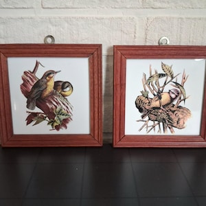 May include: Two square wall art pieces featuring detailed illustrations of small birds perched on branches. Each print is encased in a reddish-brown wooden frame with a metal hanging loop at the top, showcasing naturalistic avian artwork.