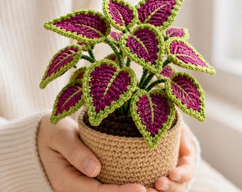 Häkelanleitung für eine Buntnessel (PDF), farbenfrohe botanische Wohndekoration (digitaler Download)
