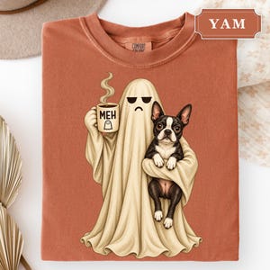 May include: A rust-colored t-shirt featuring a graphic of a beige ghost with a grumpy expression holding a coffee mug labeled MEH with a ghost icon. The ghost is holding a black and white Boston Terrier dog. The shirt has a Comfort Colors label.