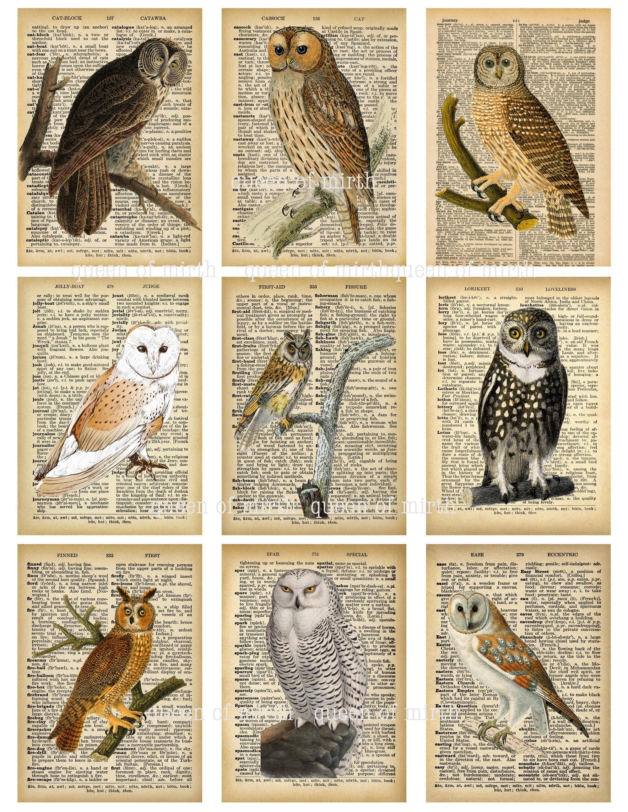 Owl Wisdom ATC Cards: Vintage Dictionary Page Collage (Digital Download)