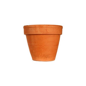 May include: A terracotta plant pot with a wide, flat rim and a tapered body. The surface of the pot has a natural, matte orange-brown finish with subtle variations in texture and colour, characteristic of fired clay material used for gardening.