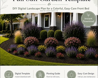 Low Maintenance Full Sun Garden Template | DIY Landscape Plan (Digital Download)