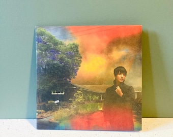 Sharon Van Etten - Newer Vinyl - We’ve Been Going About This All Tge Wrong Way - Purple Record  - 2022