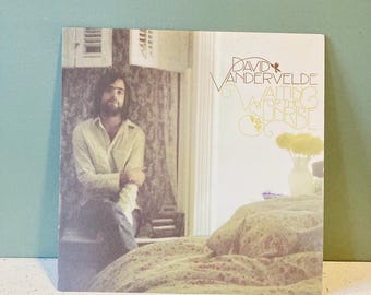 David Vandervelde - Newer Vinyl - Waiting for the Sunrise - Record - 2008