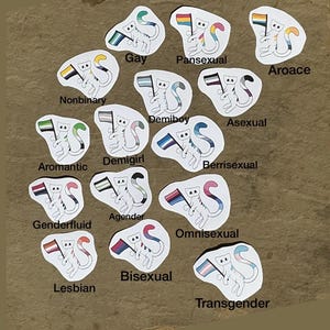 Op de afbeelding: Een verzameling witte katstickers, elk met een andere pride-vlag. De katten hebben gekleurde strepen op hun staarten en lichamen die bij de vlaggen passen. Tekstlabels bevatten Gay, Pansexual, Aroace, Nonbinary, Demiboy, Asexual, Aromantic, Demigirl, Berrisexual, Genderfluid, Agender, Omnisexual, Lesbian, Bisexual en Transgender.