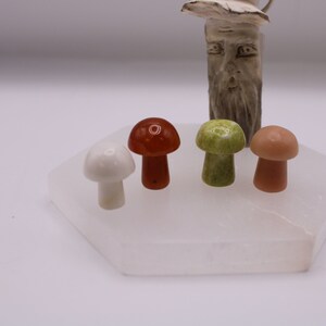 Unique Mushroom Set | Mushroom Home Décor | Cottage Core Mushroom Trinkets