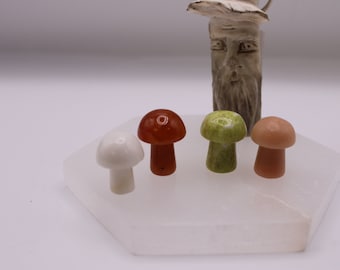 Unique Mushroom Set | Mushroom Home Décor | Cottage Core Mushroom Trinkets