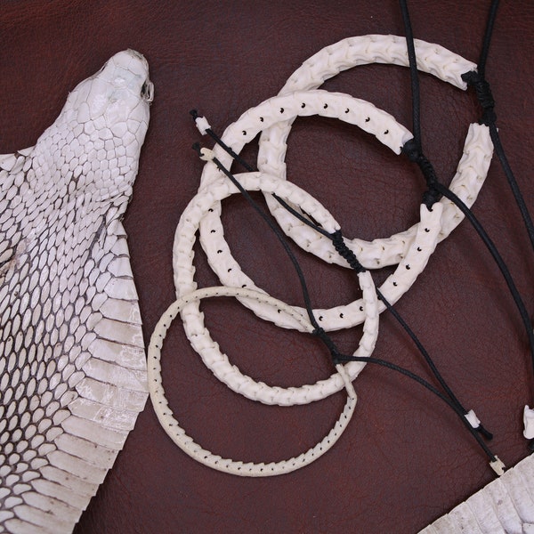 King Cobra Vertebrae Bracelet | Snake Spine Bracelet | Real Snake Bracelet | Available in White and Black