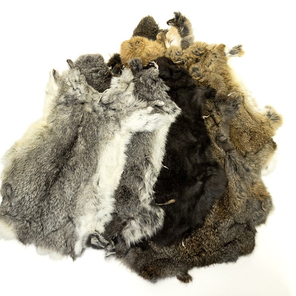 SLC | Genuine Rabbit Fur Pelt | Earth Tones | Décor | Single Hide or Bundle | Craft Grade