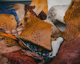 Exotic Remnant Box | Fish, Fur & Feathers | Assorted Leather Pieces for Crafts | Springfield Leather Company