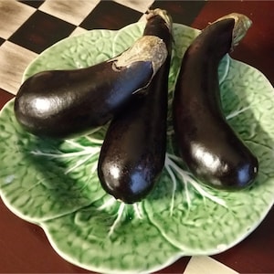 Orient Express  -  Eggplant  - SEEDS