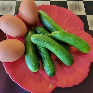 MINI  ME - Cucumber - Cucumis sativus