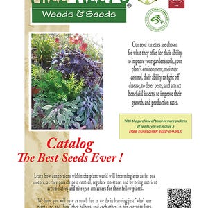 Marshmallow Seeds - Althea officinalis - Recipe Booklet - 25 Seeds image 2