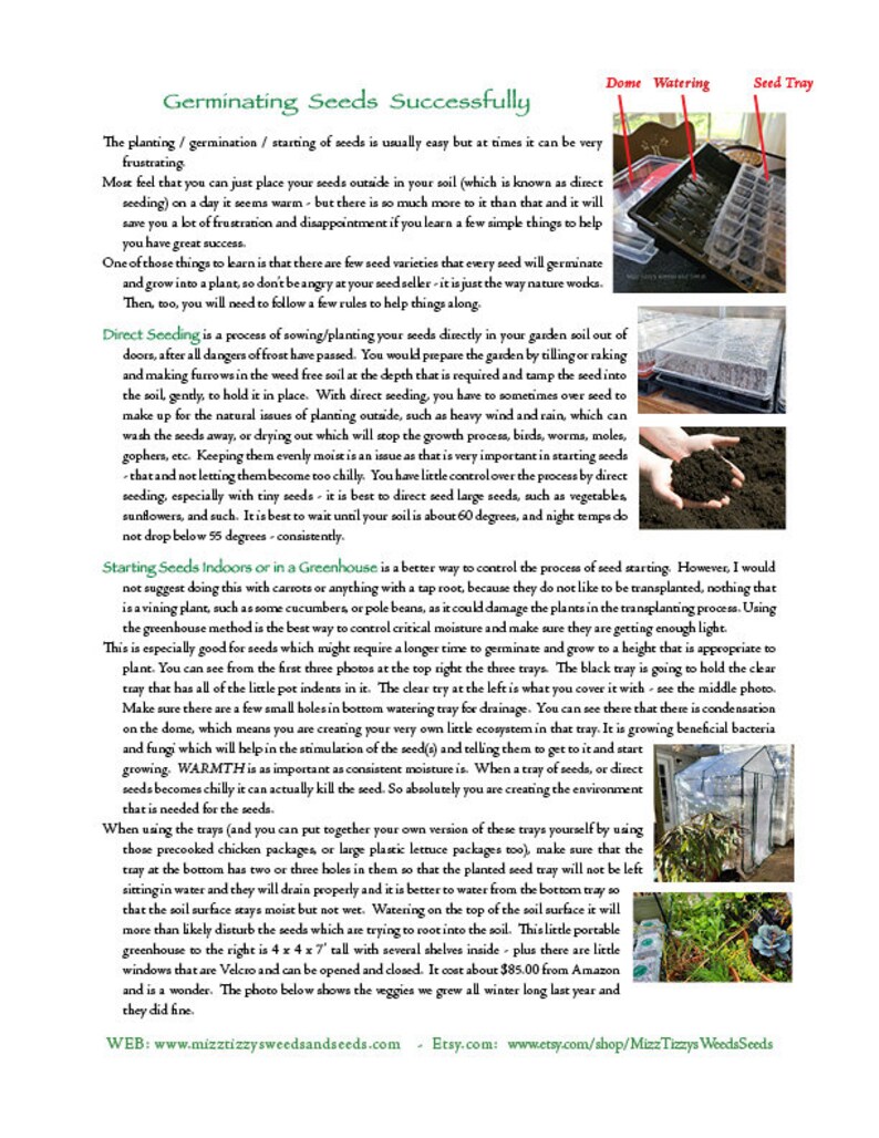 May include: A guide to successfully germinating seeds, with tips on direct seeding, starting seeds indoors, and using a greenhouse. The guide includes images of a seed tray, a dome, and a small greenhouse.