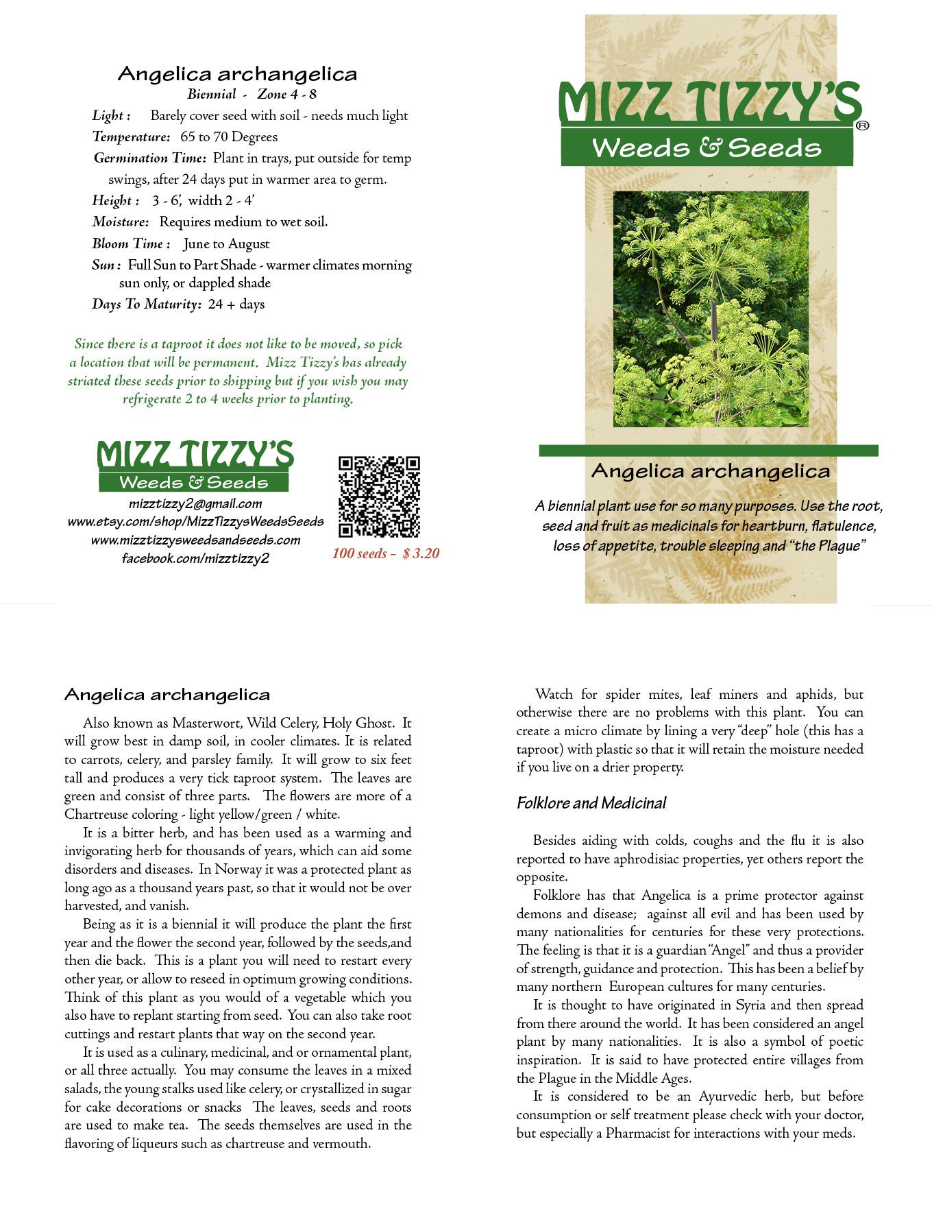 Seeds of Light ヒーリングワンド大【Angelica】 Seeds of Light ヒーリングワンド大【Angelica】 2025年最新