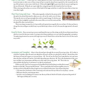 May include: A gardening guide with illustrations showing the stages of seed germination and transplanting. The guide includes tips on planting depth, room for roots, and how to prevent damping off disease.