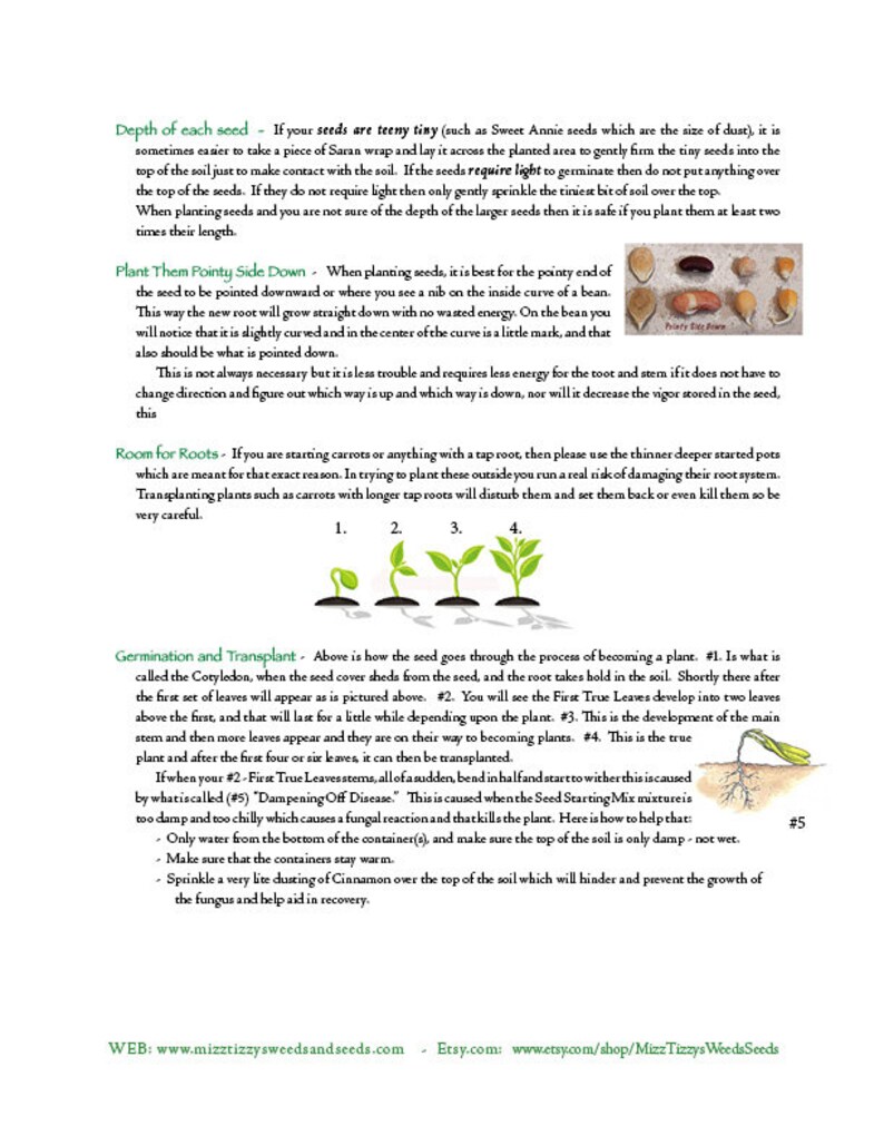 May include: A gardening guide with illustrations showing the stages of seed germination and transplanting. The guide includes tips on planting depth, room for roots, and how to prevent damping off disease.