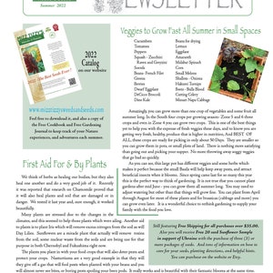 Mizz TIzzy&#39;s Newsletter - 2022 - FREE